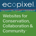 Ecopixel