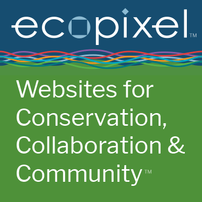 Ecopixel